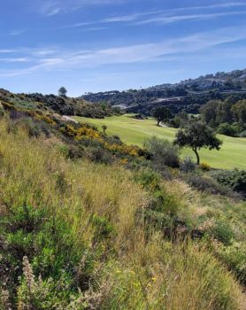 How to select residential land and build a property in Spain