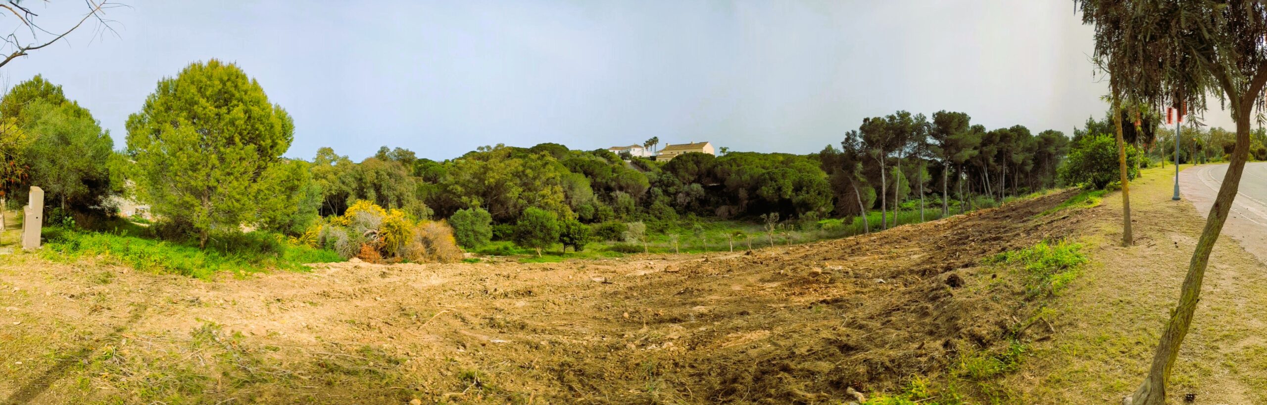 Plot for sale Sotogrande